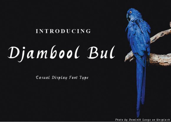 Elevate Your Brand with Djambool Bul Display Fonts