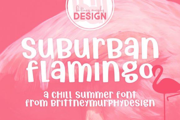 Suburban Flamingo: The Quirky Display Font for Small Business Branding